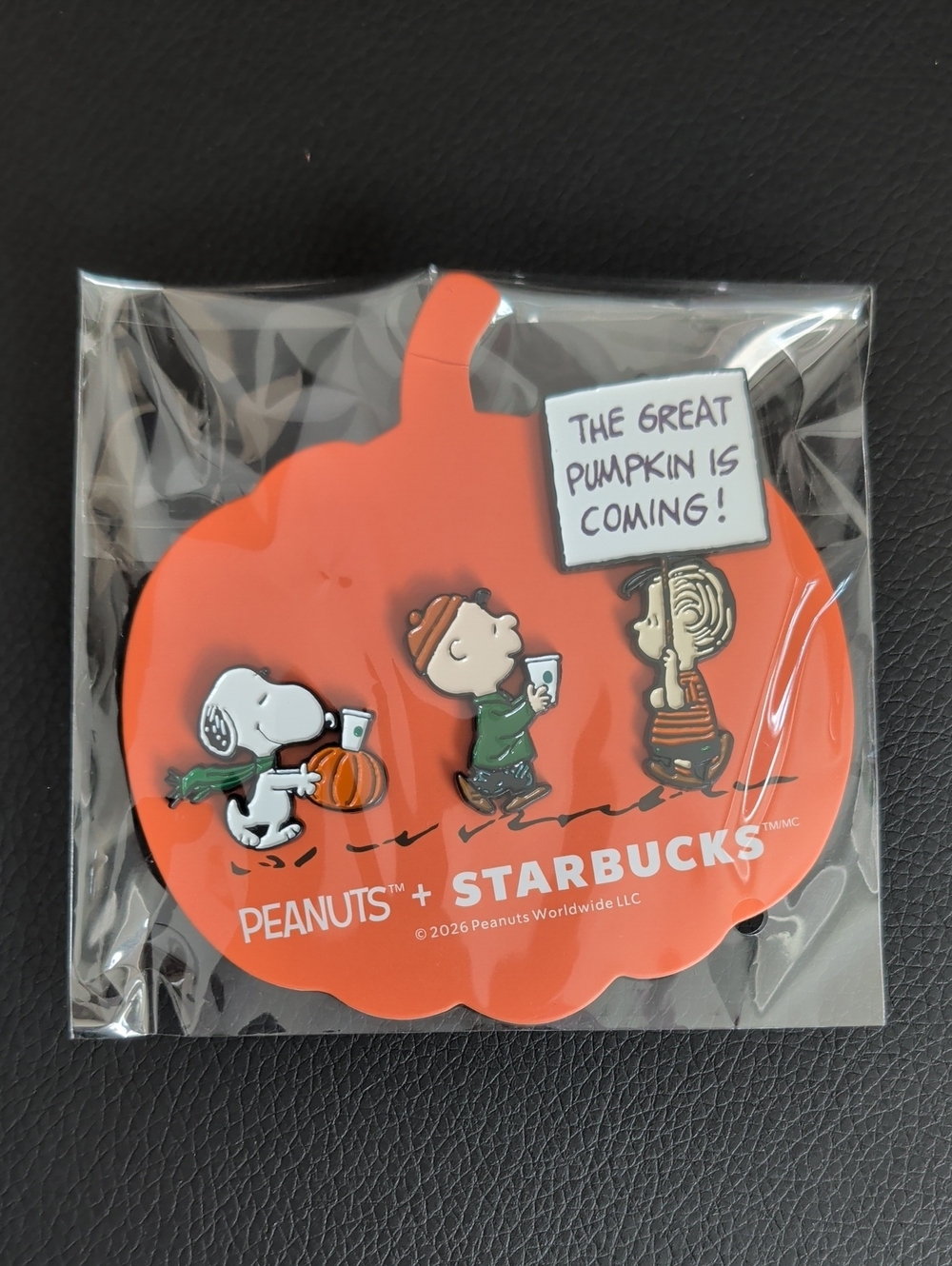 Starbucks x Peanuts Pin Set NWT